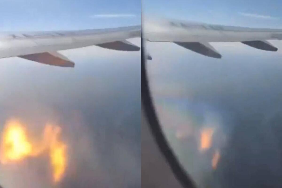 El momento quedó grabado por uno de los pasajeros que iba en el avión (Foto Twitter: @TurismoPV)
