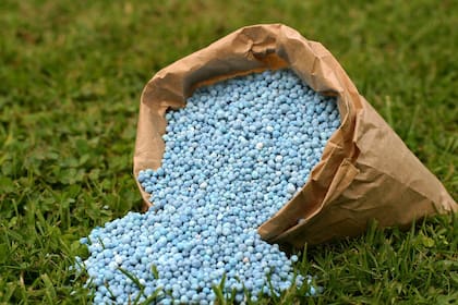 El momento y la forma de aplicación son claves para reducir las pérdidas de nitrógeno y mejorar su aprovechamiento por el cultivo