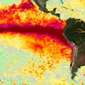 Adelantan que el fenómeno será uno de los más fuertes desde 1950 y dónde ya hay riesgos