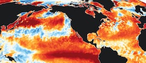 Qué se sabe del “Super Niño”, el fenómeno que cambiará por completo el pronóstico en la Argentina (y en el mundo) hasta octubre