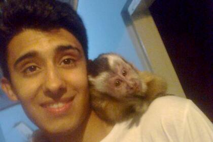 "El único espacio que el animal conoce es esa relación de comunidad con el ser humano, que para él es imprescindible", dicen especialistas