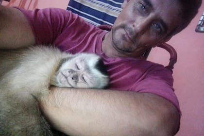 El mono Simón fue criado desde bebé por una familia que lo encontró abandonado en Formosa