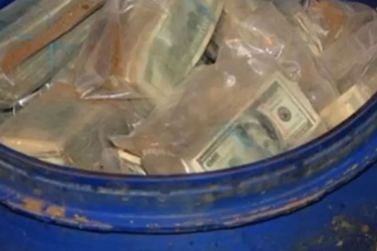 El monto de dinero que habría encontrado el granjero (Foto: Reddit)