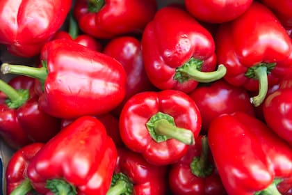 El morrón pertenece a la familia de las solanáceas, al igual que las berenjenas, los tomates y las papas