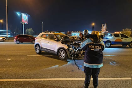 El mortal accidente ocurrió a la altura del kilómetro 17 de la autopista Panamericana, en Martínez
