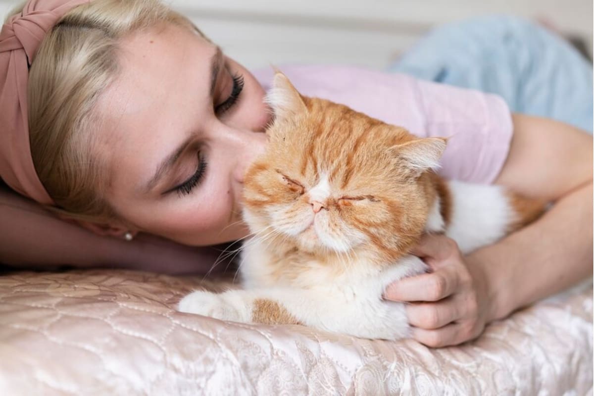 El motivo de que los gatos se froten contra sus humanos de mayor confianza