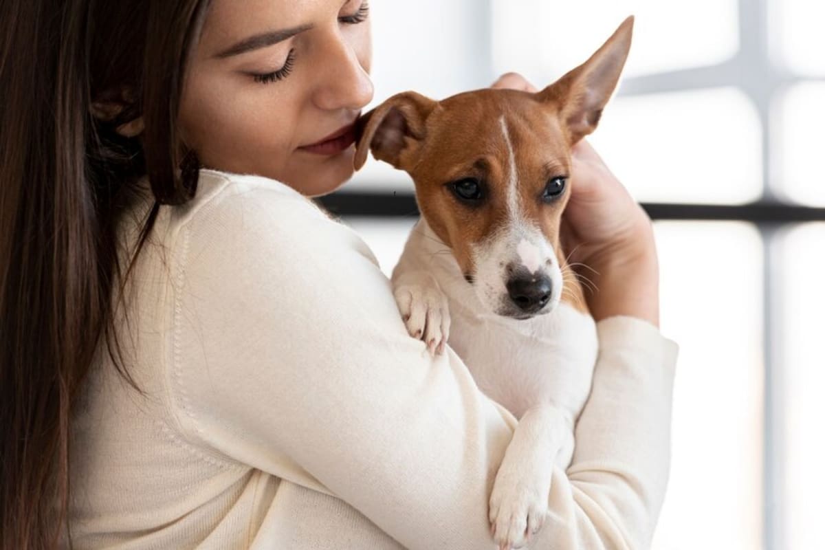 El motivo por el que algunas mascotas fingen síntomas de enfermedad