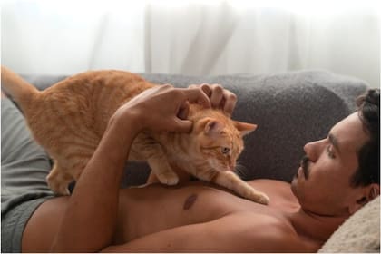 El motivo por el que los gatos se duermen sobre el pecho de sus dueños