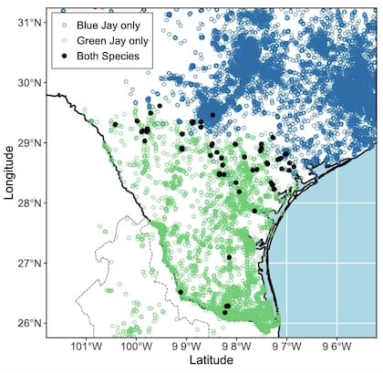 El movimiento de las aves desde el 2000 al 2023 y sus puntos de convergencia