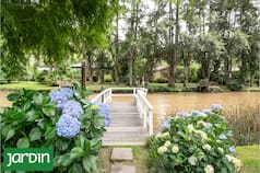 La historia de un terreno cubierto de zarzamoras convertido en un jardín isleño