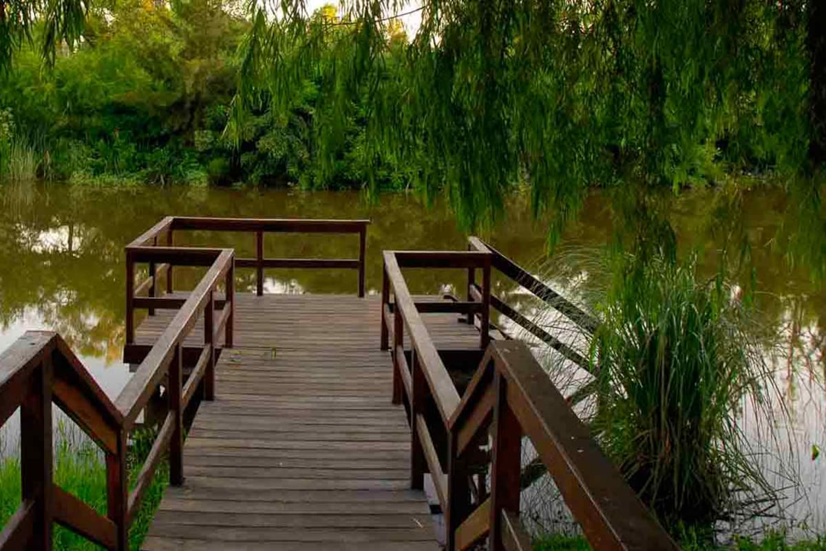 Hamacas paraguayas cuelgan de los árboles del parque de Los Pecanes junto al río.
