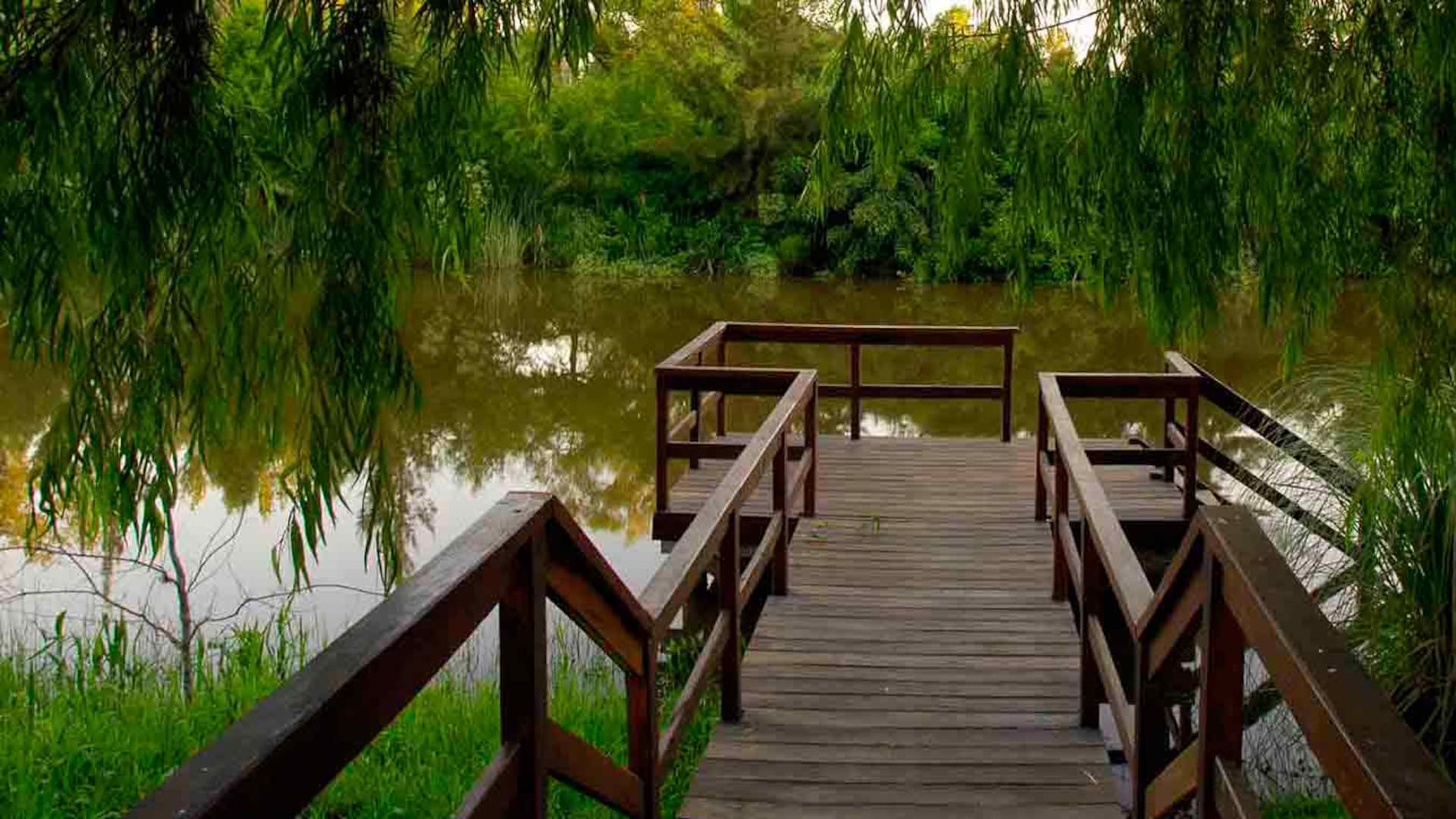 Hamacas paraguayas cuelgan de los árboles del parque de Los Pecanes junto al río.