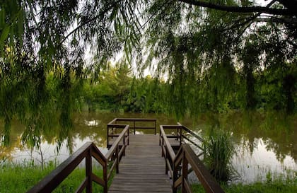 El muelle del Delta Eco Spa en el Delta del Tigre.