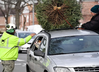 El Mulchfest termina el domingo 11 de enero (NYC Parks)