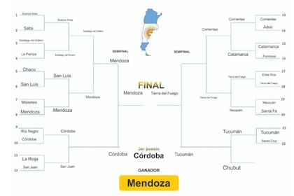 El mundial de Twitter que encendió pasiones provinciales nombró a Mendoza ganadora