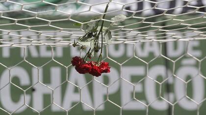 El mundo llora a las víctimas de Chapecoense