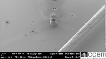 El muñeco de nieve hecho con el microscopio junto a un pelo humano; en la cabeza del muñeco está la casita de gengibre