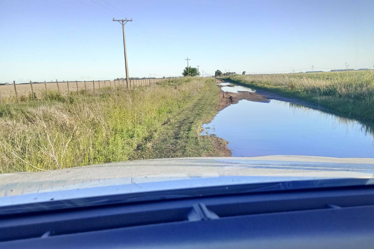 El municipio apelará el fallo judicial y aseguró que es "provisorio"