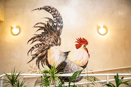 El mural del gallo fue pintado por una de las hijas de Christophe