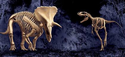 El Museo de Ciencias Naturales de North Carolina ya promociona la exhibición de los "Dinosaurios en Duelo", que estará lista recién para 2022 (NCMNS)