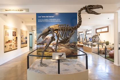 El Museo de Historia Natural habla del pasado y del presente.