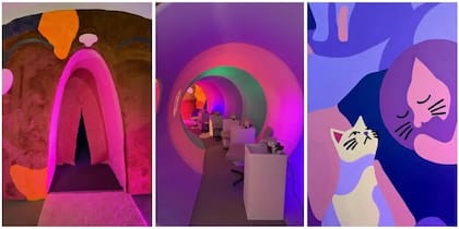 El Museo del Gato de Ciudad de México combina tecnología y experiencias sensoriales para acercar al público al mundo de los felinos