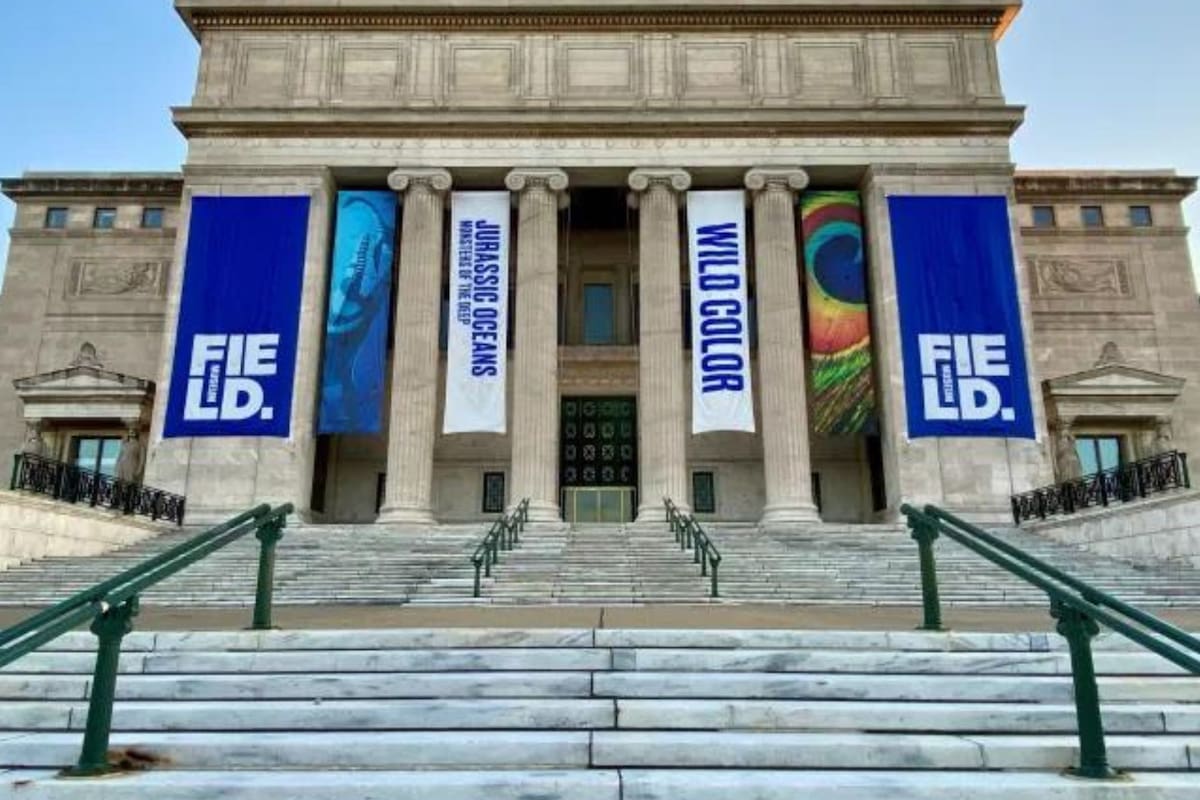 El Museo Field es uno de los museos de Chicago que ofrecen días de entrada gratuita a los residentes de Illinois (Archivo)