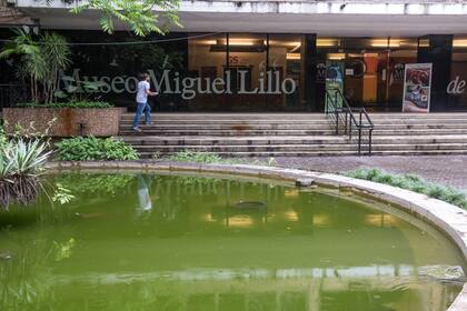El Museo Miguel Lillo es visita fundamental en Tucumán.