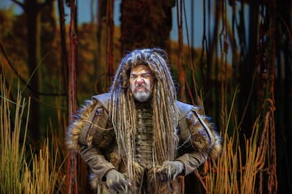 El musical argentino El Mago de Oz, una creación de la dramaturga Marisé Monteiro, inspirada en el libro de Lyman Frank Baum con música de Martín Bianchedi y Ángel Mahler, la dirección orquestal de Damián Mahler, y dirección general de Sebastián Irigo