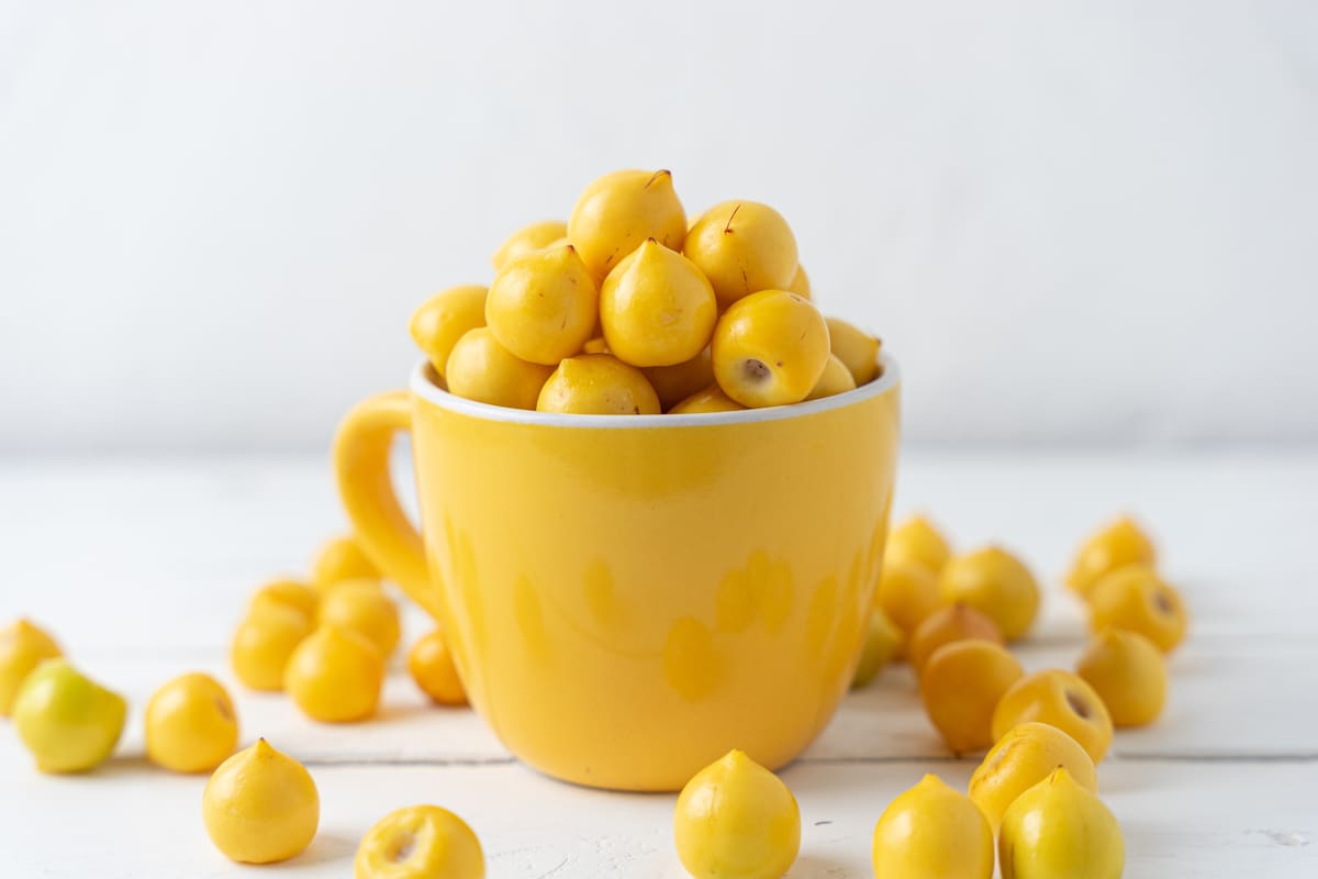 El nanche aporta diferentes beneficios para la salud