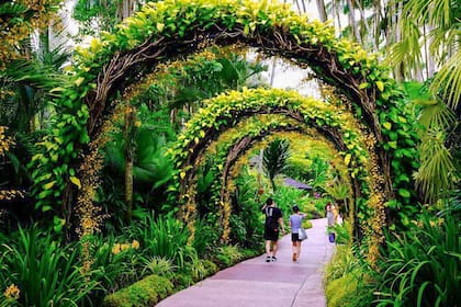 El National Orchid Garden en el Jardín Botánico de Singapur