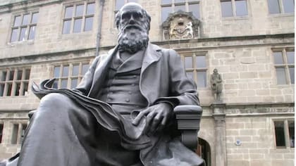 El naturalista Charles Darwin utilizó las palomas para sustentar sus teorías sobre la evolución de las especies