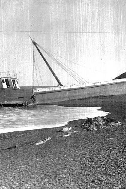 El naufragio  del vapor Ludovico en las costas de Bahía Rosa, a 80 km de Viedma, Río Negro, en 1916