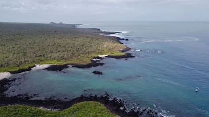 El naufragio ocurrió a unas 2000 millas naúticas de las Islas Galápagos