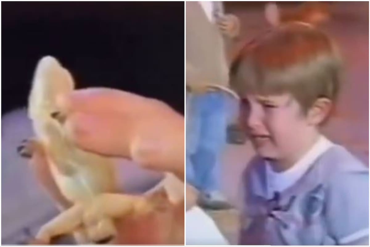 El nene que perdió la salamandra en lo de Susana Giménez le envió un curioso reclamo a la diva