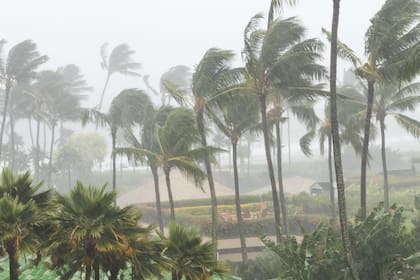 El NHC advierte que, aunque el sistema aún no es una tormenta, llevará lluvias persistentes del lunes al jueves, especialmente en el norte y centro de Florida