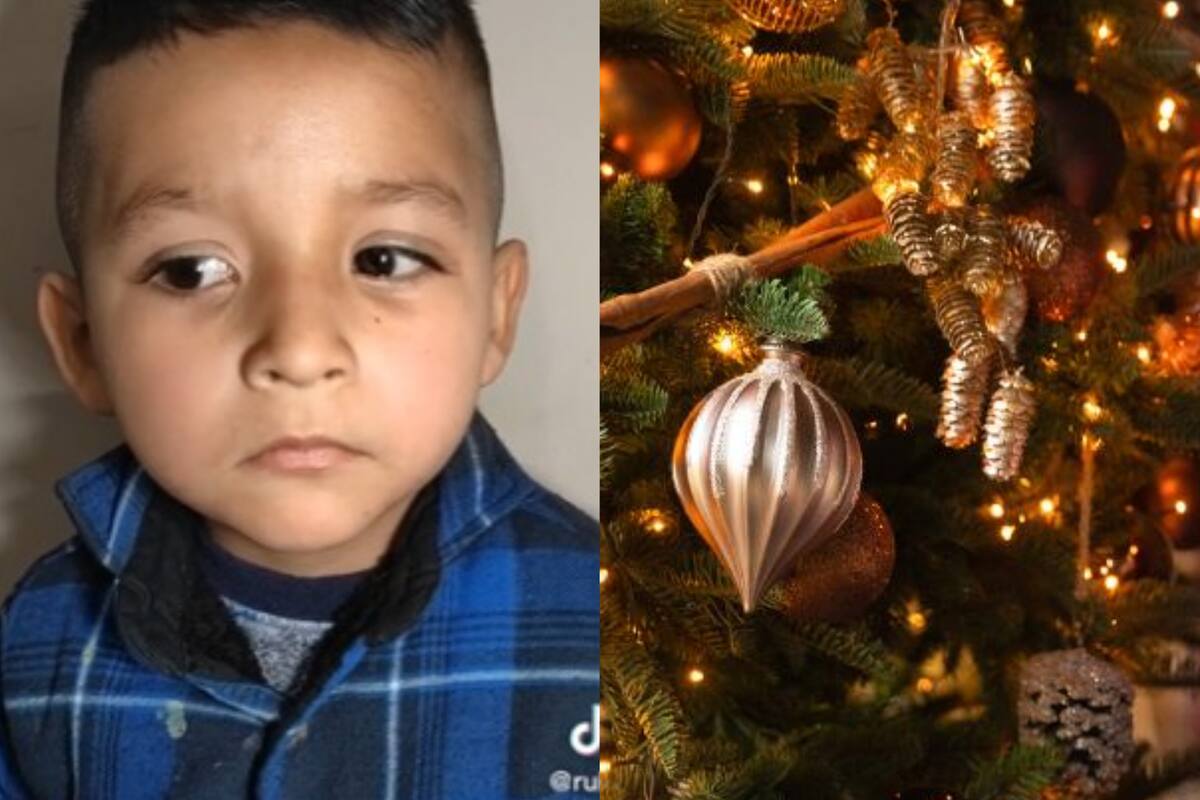 El niño aseguró que nunca recibió un regalo de Navidad en su vida (Foto: Captura TikTok)