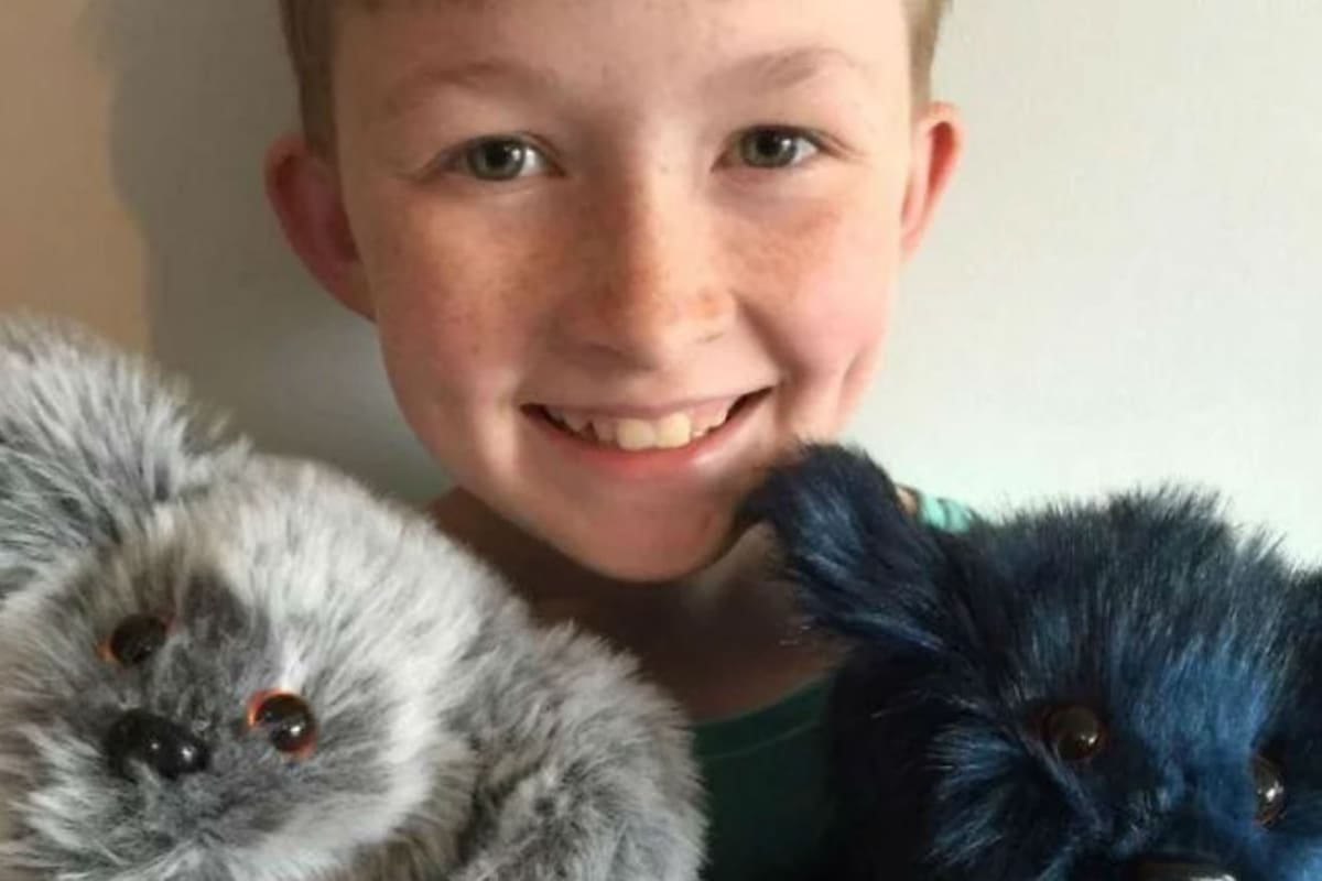 El niño australiano con los peluches que fabrica a través de Proyect 365