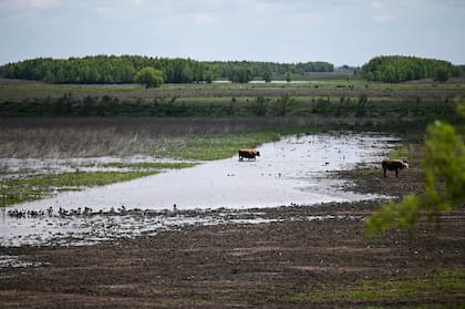 “El Niño es un proceso que se desarrolla como una película, no como una foto y tiene un ciclo de 12 meses que comienza en marzo-abril de cada año", dice Sierra