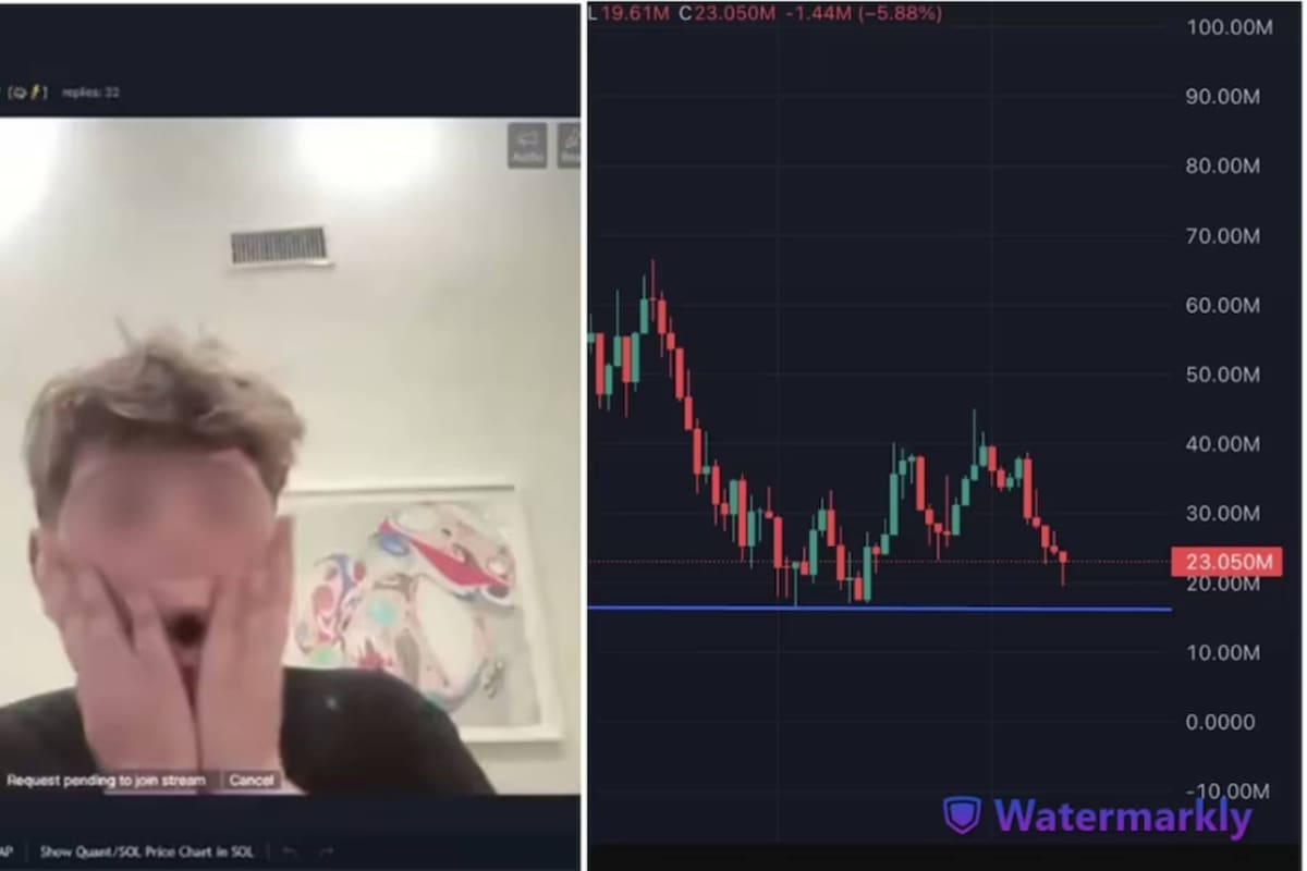 El niño ganó treinta mil dólares con la creación de $QUANT, su criptomoneda