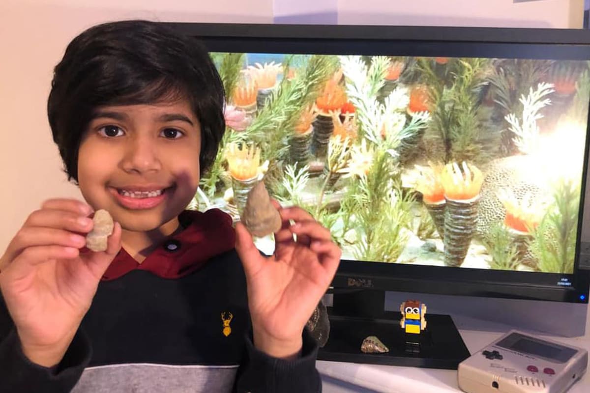 El niño muestra el "coral rugoso" cuya edad estimada oscila entre los 251 y los 488 millones de años