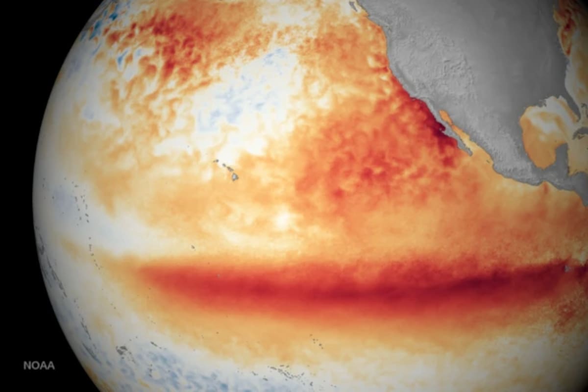 El Niño provoca aguas inusualmente cálidas en la superficie del océano Pacífico tropical oriental y central