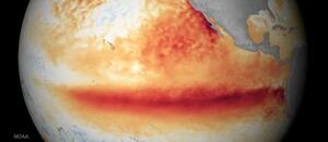Los océanos del planeta alcanzan la temperatura media más alta jamás registrada mientras El Niño se intensifica