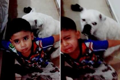 El niño que es una estrella viral por defender a su perro de los retos de su madre