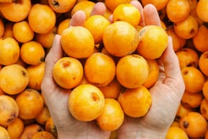 El níspero es una fruta baja en calorías que aporta fibra y se destaca por su contenido en vitamina A en forma de provitamina.