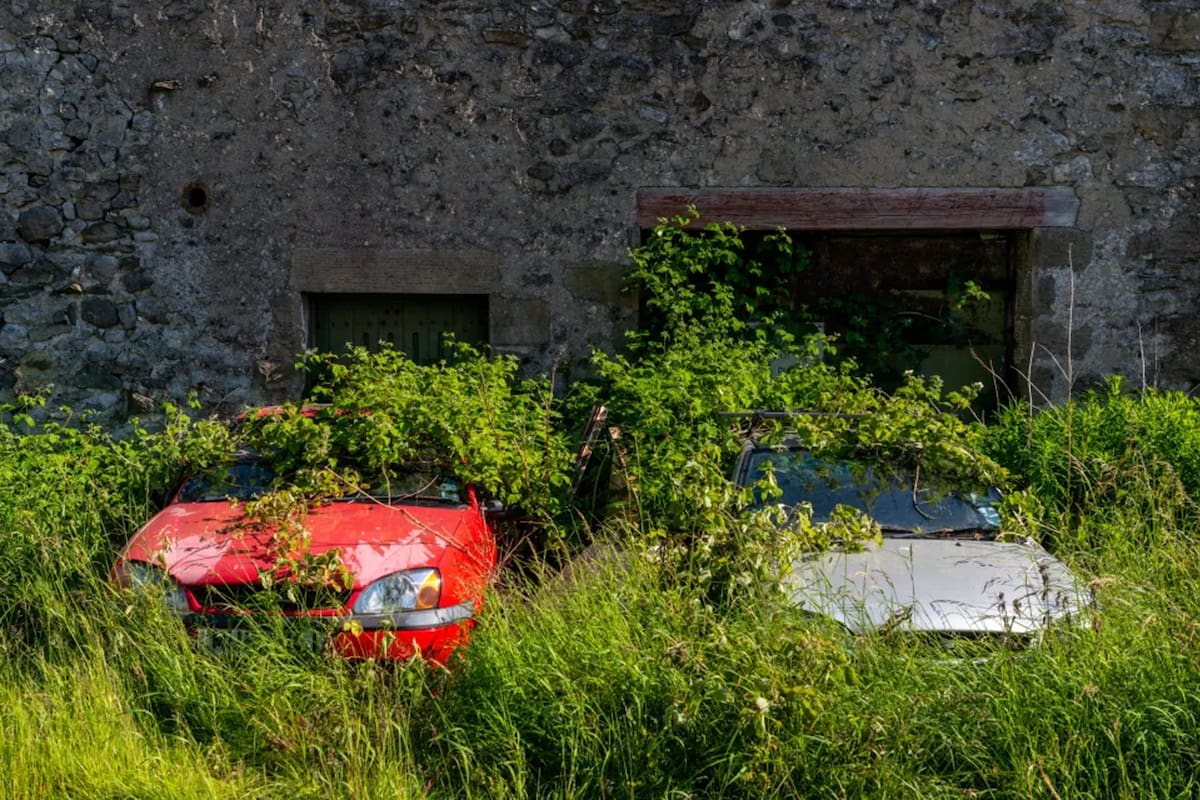 El Nissan rojo permitió descubrir un centenar de autos abandonados