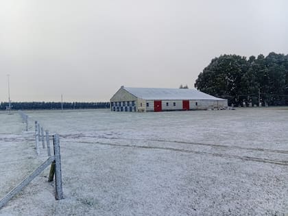 El nivel de nieve que cayó en algunas regiones de la provincia de Buenos Aires