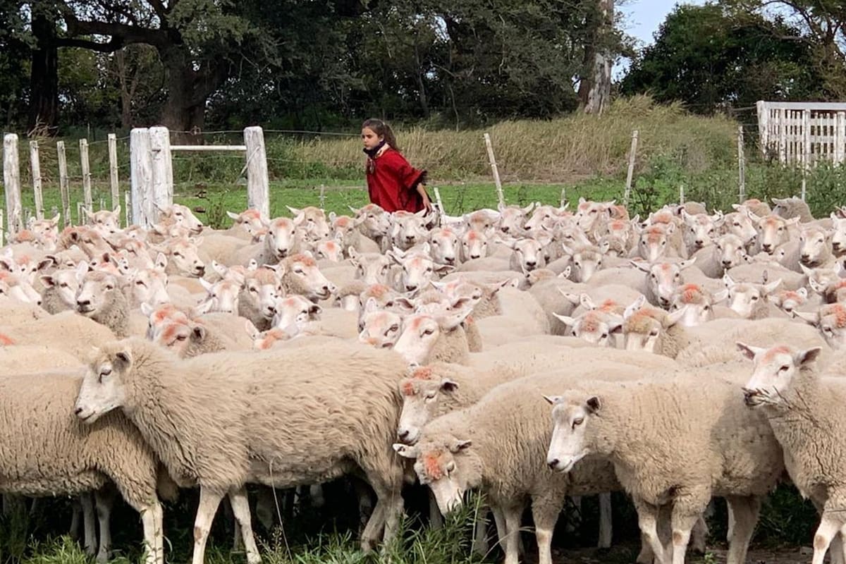 El nombre Cuatro Reinas es por por la esposa y las hijas de Michelli