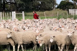 Querían sumar a sus hijas a un plan y lo lograron de una manera sorprendente