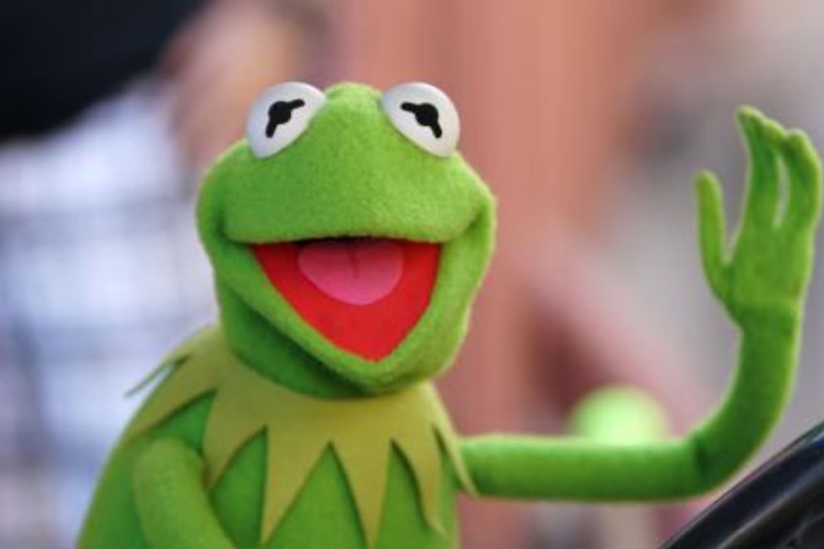 El nombre de la popular rana René fue utilizado para bautizar a un fósil de más 270 millones de años (Foto archivo)